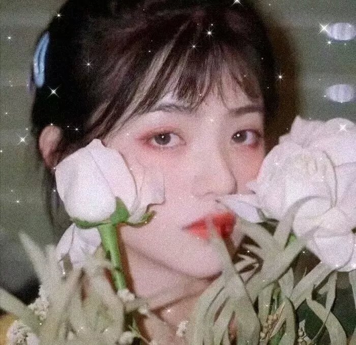 命运之夜前传第一季
